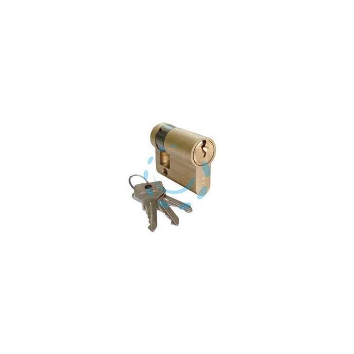 MEZZO CILINDRO A INFILARE CISA SAGOMATO 0G304 - mm.40 decentrato (30x10) (0G304020KA)