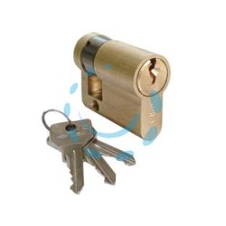 MEZZO CILINDRO A INFILARE CISA SAGOMATO 0G304 - mm.50 decentrato (40x10) (0G304030)