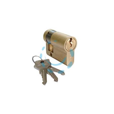 MEZZO CILINDRO A INFILARE CISA SAGOMATO 0G304 - mm.50 decentrato (40x10) (0G304030)