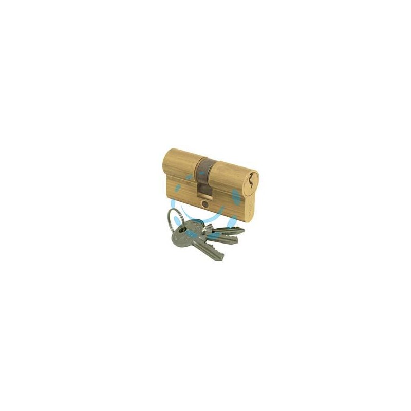 CILINDRO A INFILARE LOGO SAGOMATO 08011 - mm.65 decentrato (30x35) 08011260