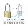 LUCCHETTO LOGO OTTONE ARCO LUNGO 21011