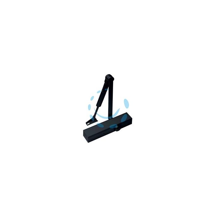 CHIUDIPORTA AEREO SERIE TS 79 - nero RAL9005 (22305619)
