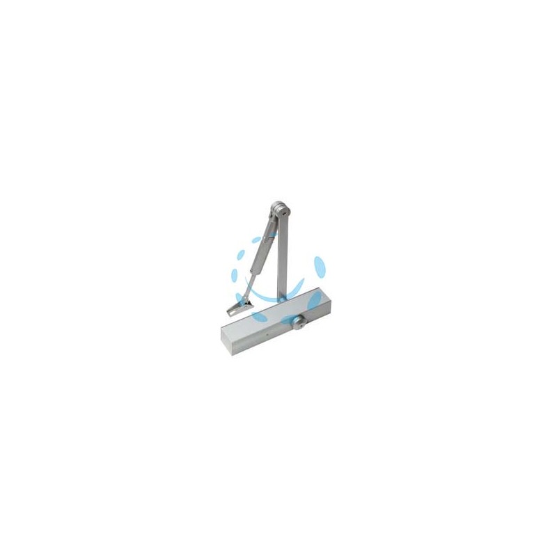 CHIUDIPORTA AEREO SERIE TS 79 - argento (22305601) 