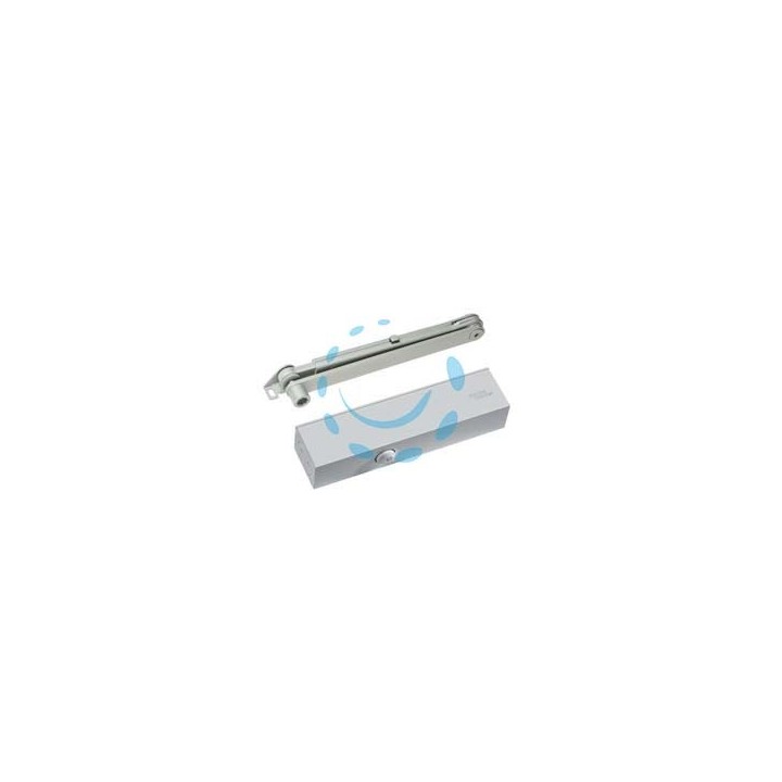 CHIUDIPORTA AEREO SERIE TS83BCA - argento (38010101+22003001)