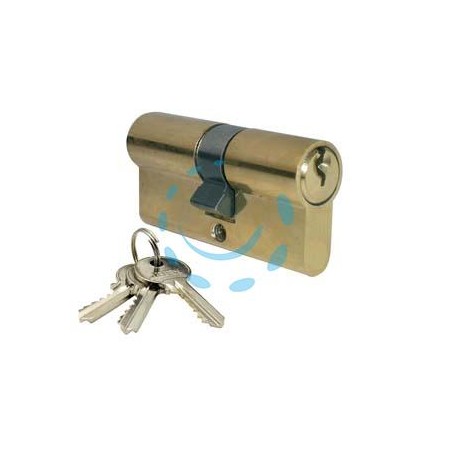 CILINDRO INFILARE SAGOMATO OTTONE LUCIDO 2300 - mm.100 decentrato (40+60)