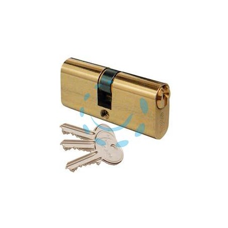 CILINDRI A INFILARE TIPO OVALE 830 - mm.60 decentrato (27+33) (83002733H)