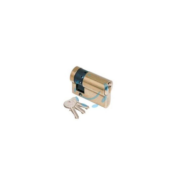 MEZZO CILINDRO A INFILARE SAGOMATO "F5" 820 - mm.40 (30+10) (8209301074)