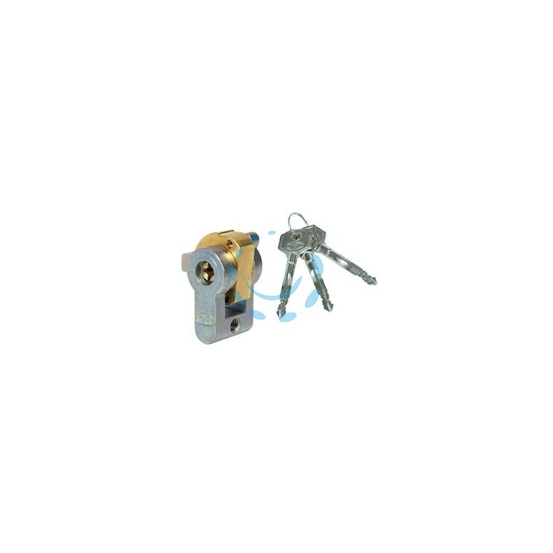 CILINDRO A INFILARE SAGOMATO CON CHIAVE A CROCE 4052 - mm.20 (4052)