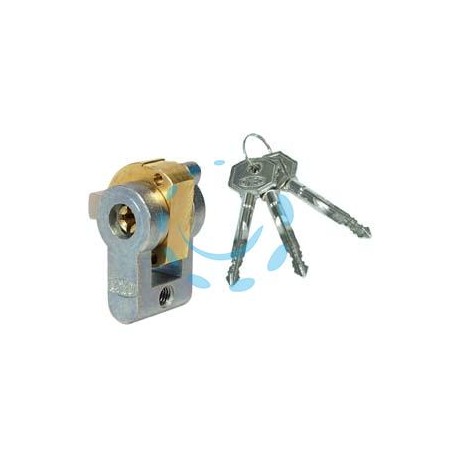 CILINDRO A INFILARE SAGOMATO CON CHIAVE A CROCE 4052 - mm.20 (4052)