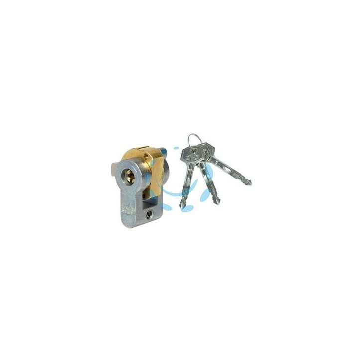 CILINDRO A INFILARE SAGOMATO CON CHIAVE A CROCE 4052 - mm.20 (4052)