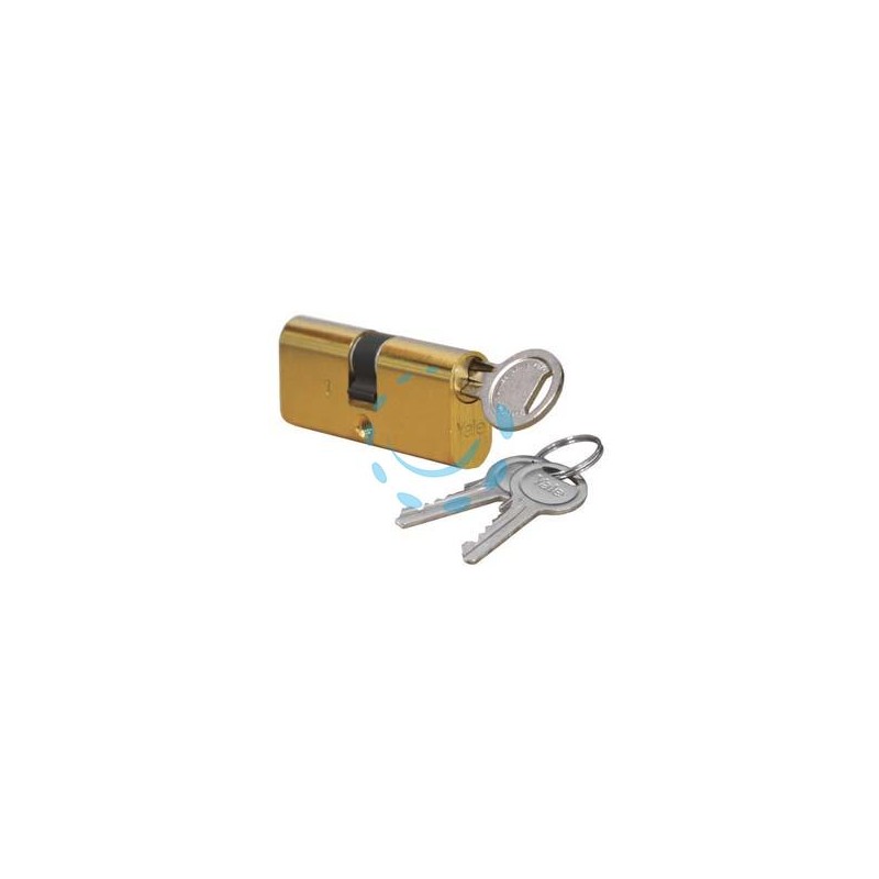 CILINDRI A INFILARE OVALI SERIE 090 - mm.60 centrato (30x30) (0901003000)