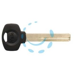 CHIAVE GREZZA YALE TESTA PLASTICA PROFILO 66 - (LCMYAPLN01RR)