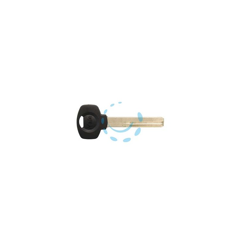 CHIAVE GREZZA YALE TESTA PLASTICA PROFILO 66 - (LCMYAPLN01RR)