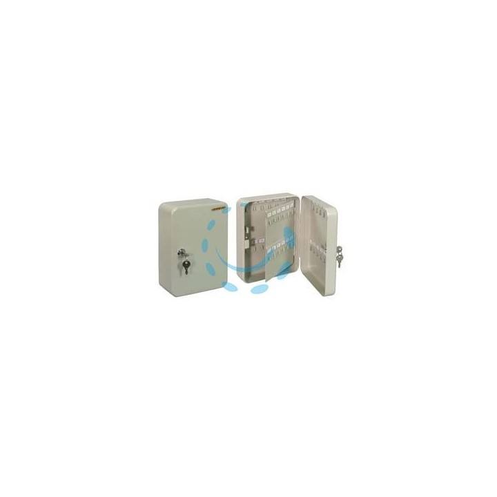 CASSETTA PORTACHIAVI CON CILINDRO A LEVA - mm.180x75x250h. 48 ganci