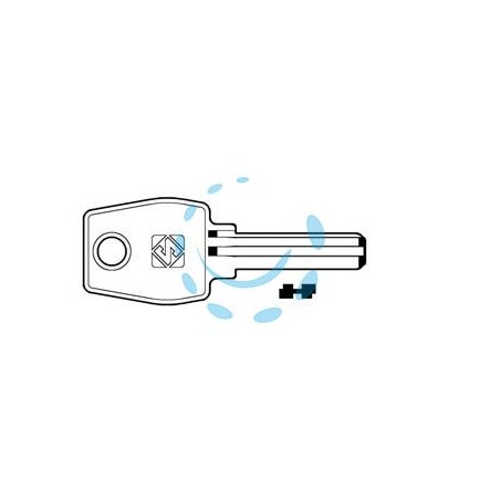 CHIAVI PUNZONATE PER CILINDRI EURO LOCKS 5+5 SPINE EU17 - EU17