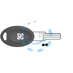 CHIAVI PUNZONATE PER CILINDRI EURO LOCKS 5 SPINE EU21P - EU21P