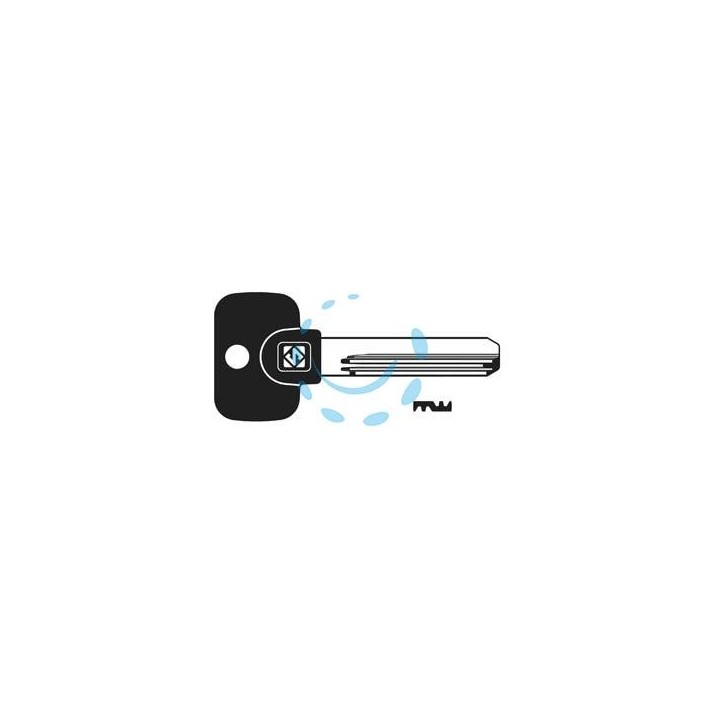 CHIAVI PUNZONATE PER CILINDRI MUL-T-LOCK 10 SPINE MTK4RP - MTK4RP