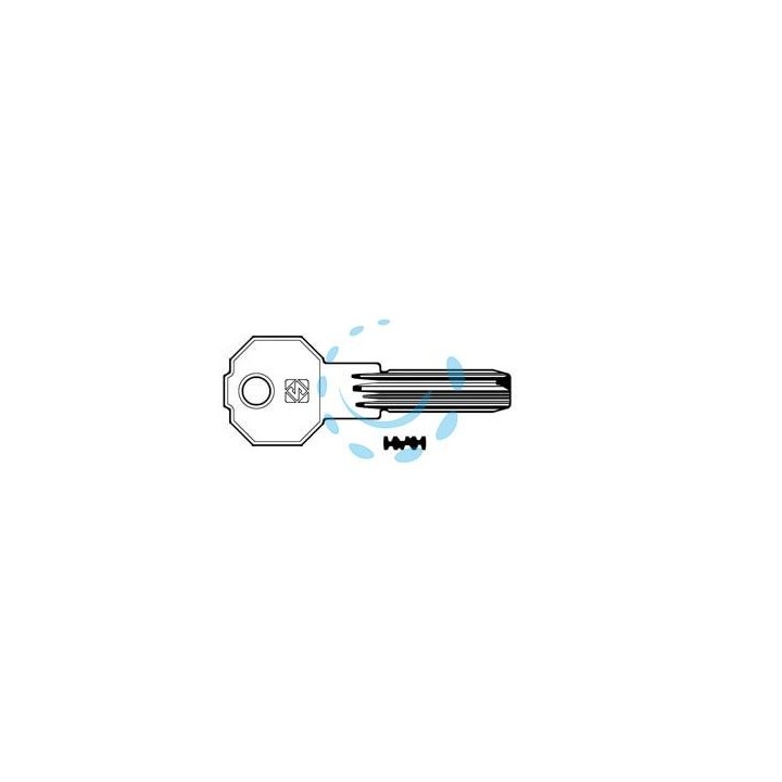 CHIAVI PUNZONATE PER CILINDRI PREFER 6 SPINE PF21 - PF21