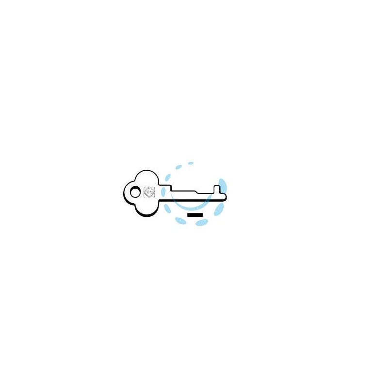 CHIAVI PASSEPARTOUT PER CASSETTE POSTALI 1003P1 - 1003P1