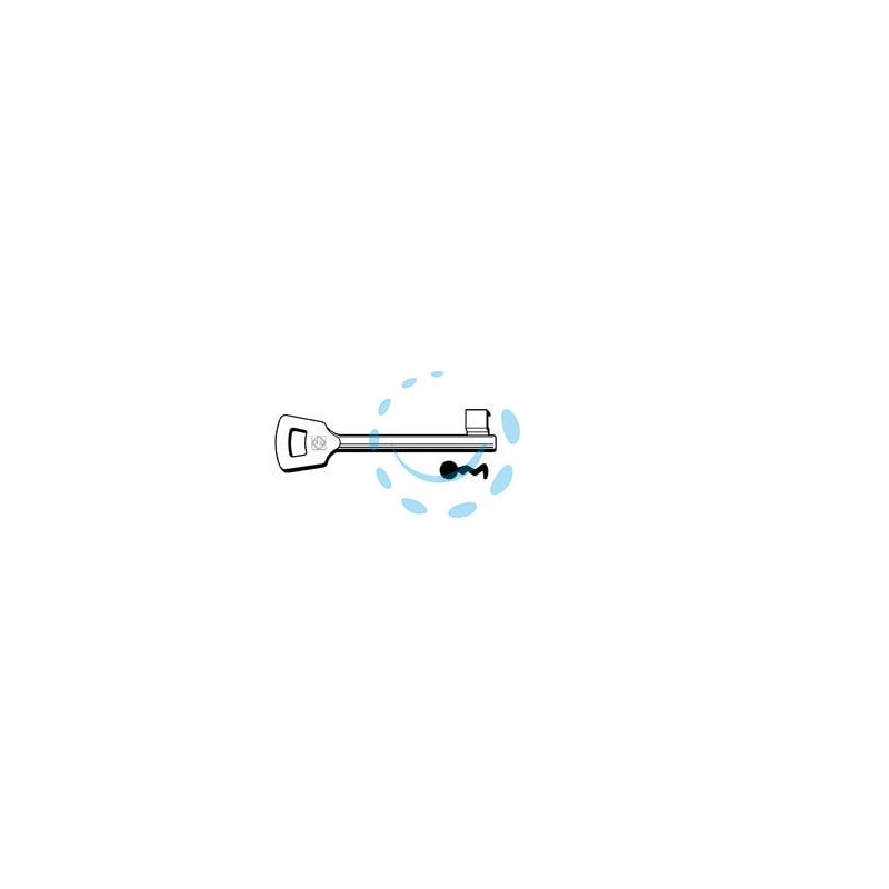 CHIAVI PATENT PASSEPARTOUT NEMEF 10NFHL