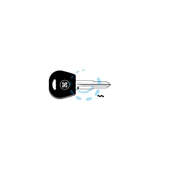 CHIAVI AUTO LOOK A-LIKE PORTA TRANSPONDER DWO4RTE - DWO4RTE 