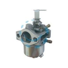 CARBURATORE PER RASAERBA CC.79,6 