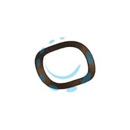 RONDELLA ELASTICA BULLONE FRIZ. PER DECESPUGLIATORE CC.32,6/42,7/51,7 