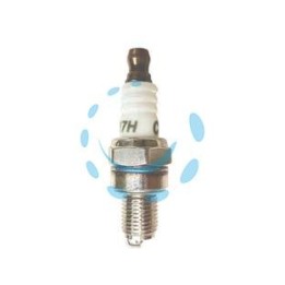CANDELA PER DECESPUGLIATORE 4T CC.37,7 