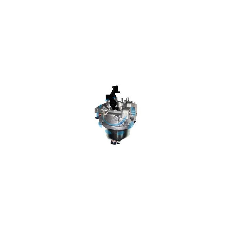 CARBURATORE PER RASAERBA