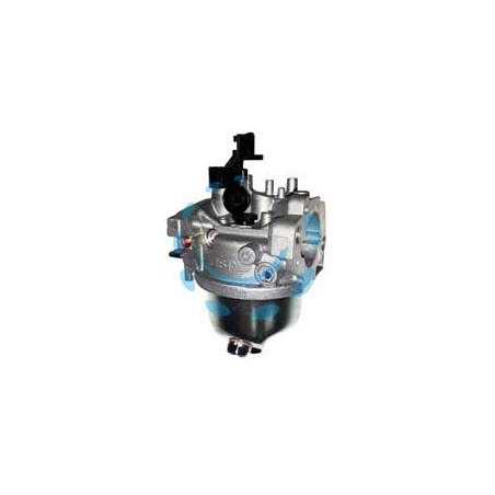 CARBURATORE PER RASAERBA