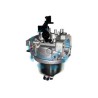 CARBURATORE PER RASAERBA