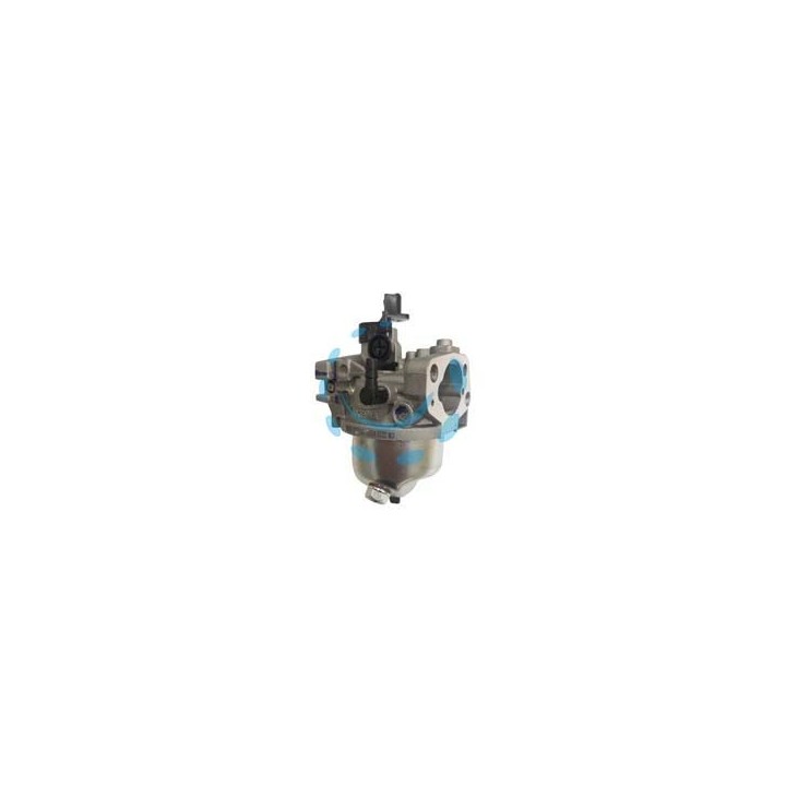 CARBURATORE PER RASAERBA 