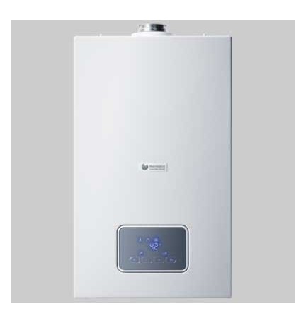 SCALDINO A GAS OPALIA F LOW NOX CAMERA STAGNA - Lt 12-1 Gpl